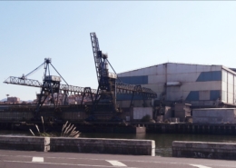 solidaridad-propia-impropia